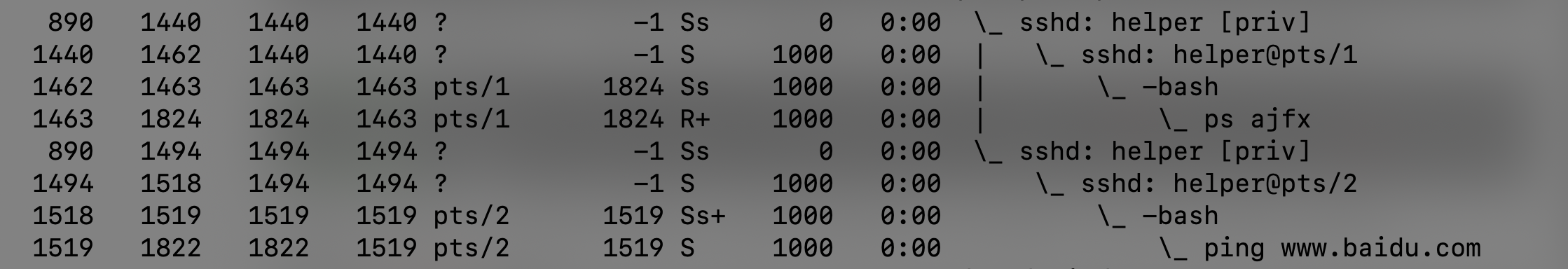 image-20210226165657403