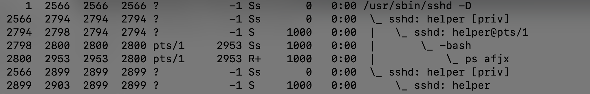 image-20210428173224469