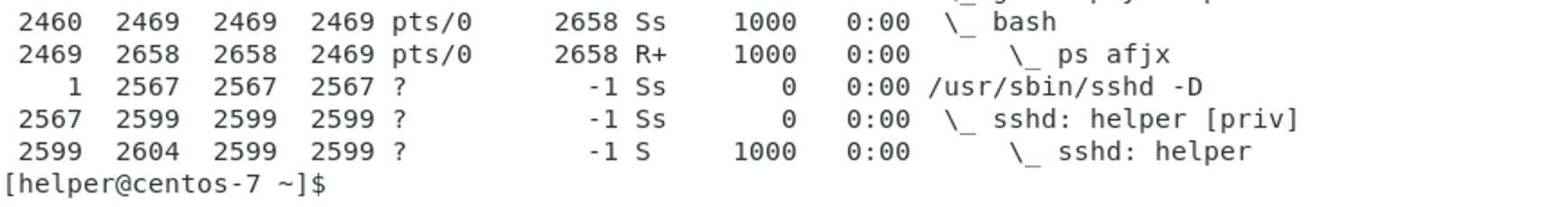 image-20210428174421455