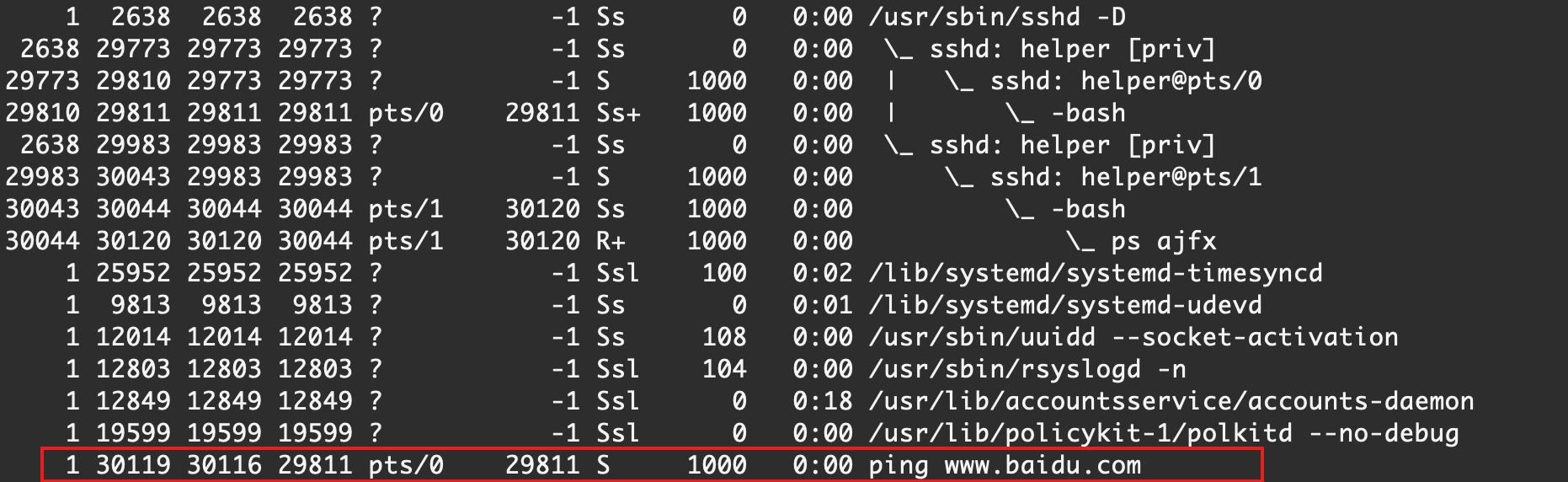 image-20210227003806736
