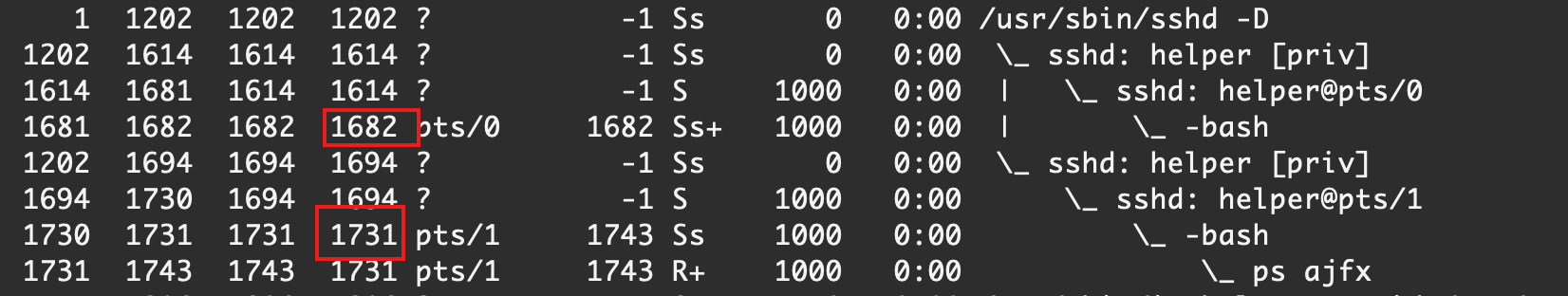 image-20210227005321850