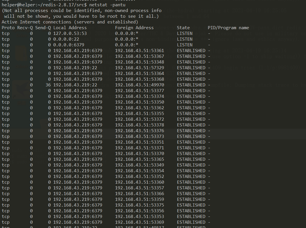 image-20210419162557120