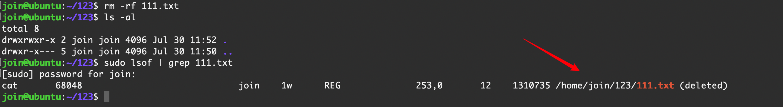 image-20240730195444000