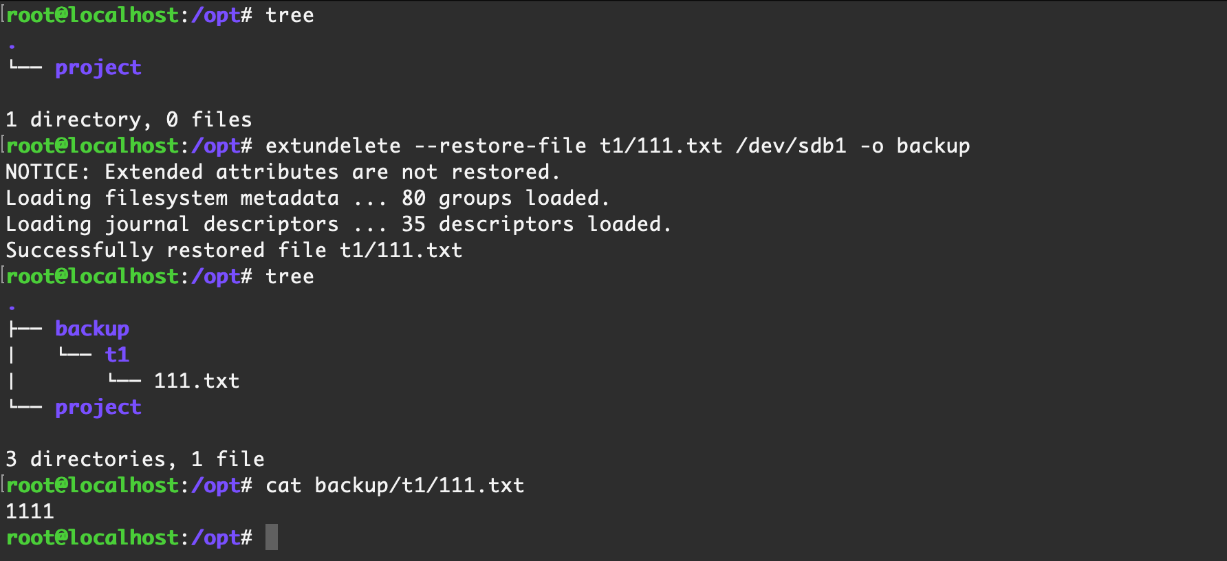 image-20220429195801403