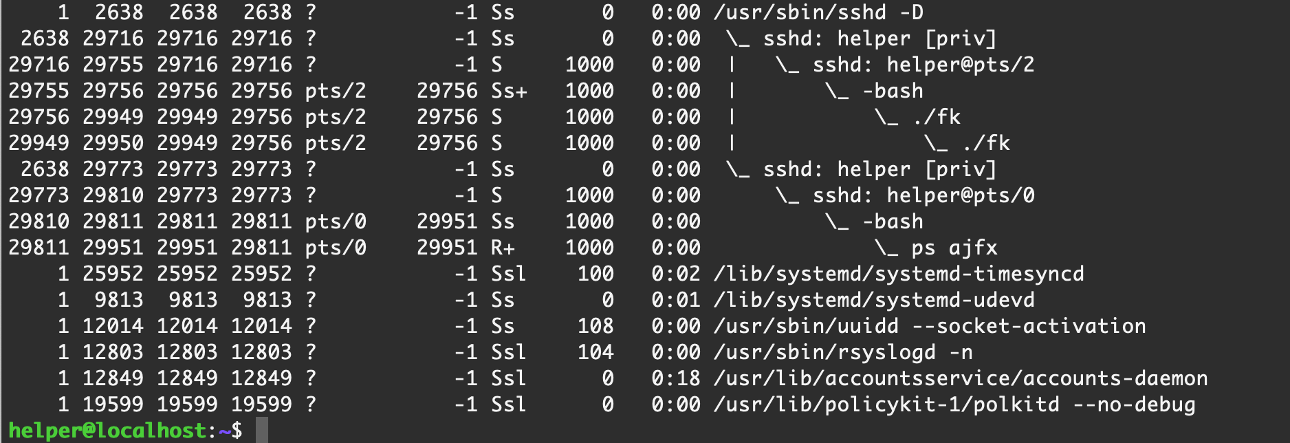 image-20210226225732404