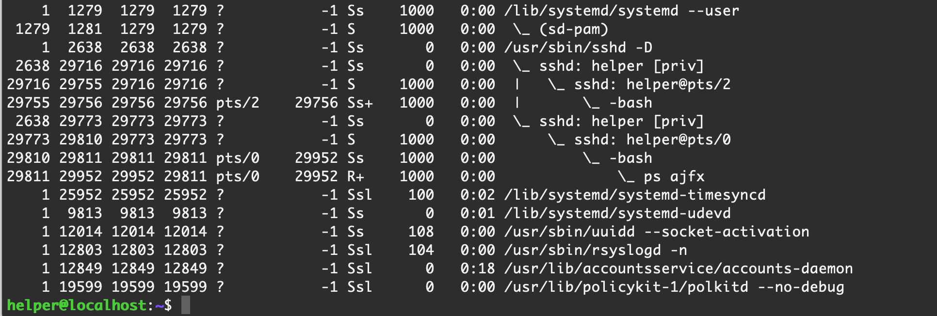 image-20210226225946565