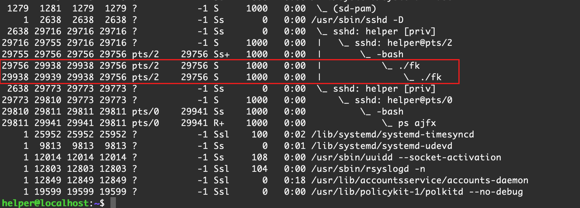 image-20210226222813661
