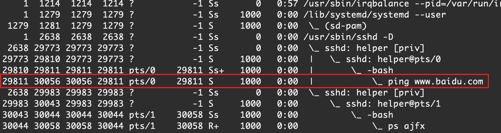 image-20210227001724340