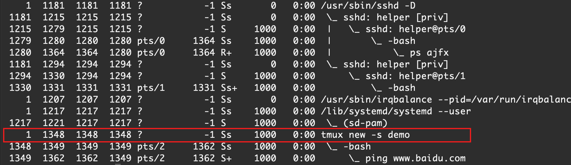 image-20210227012821282