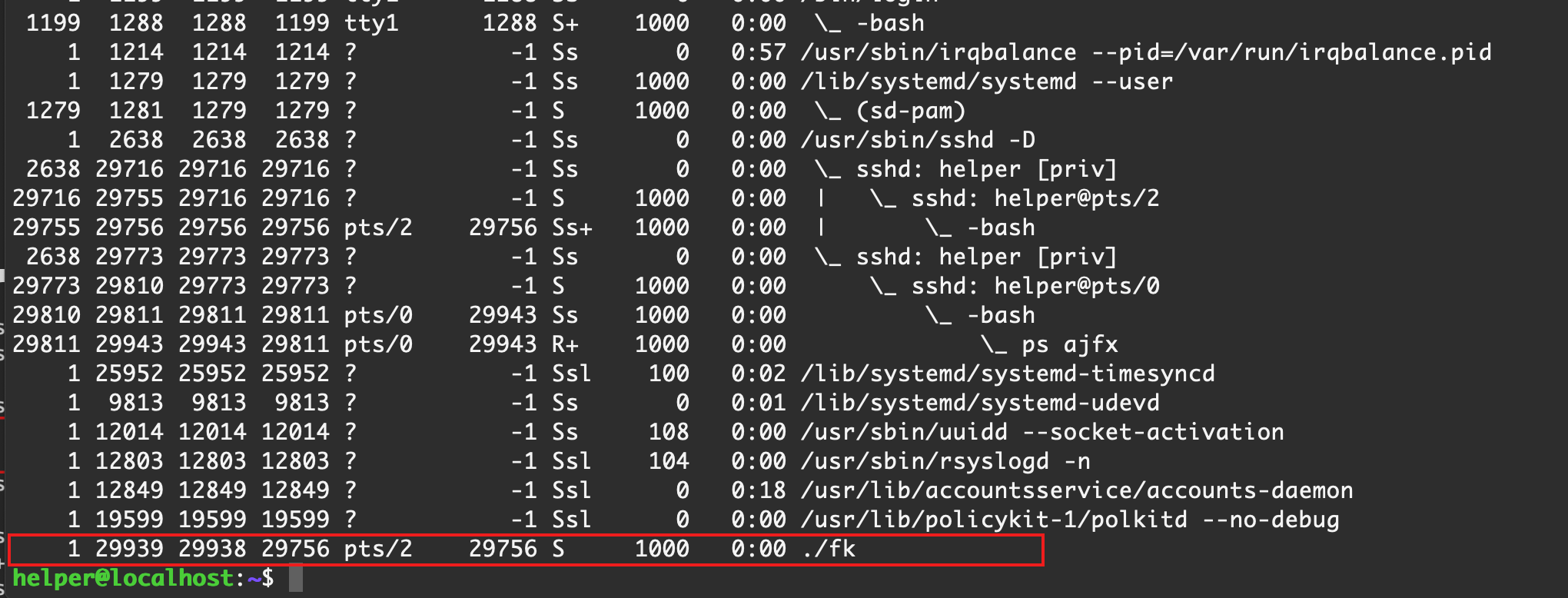 image-20210226223055774