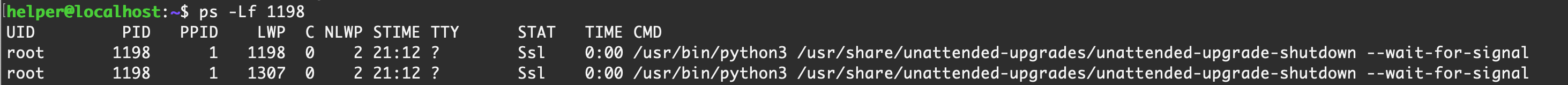 image-20211123231920775