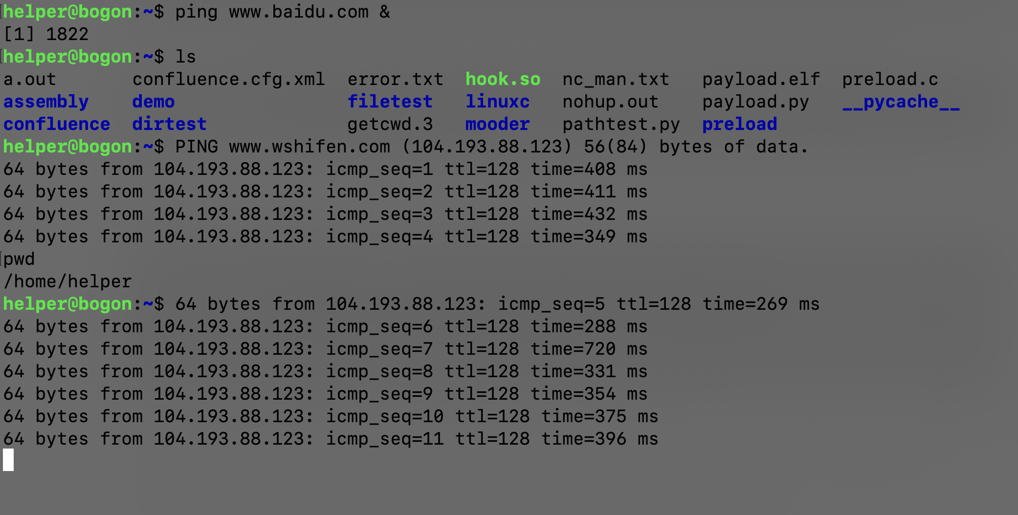 image-20210226165303359