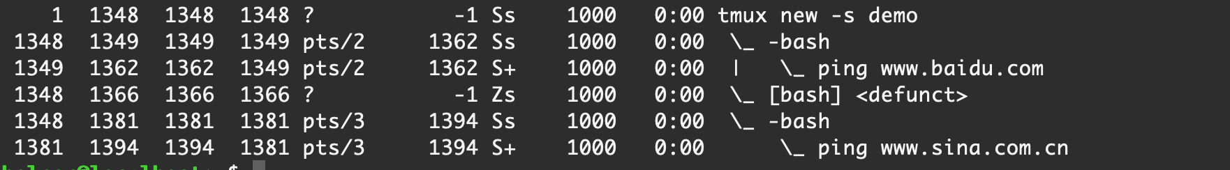 image-20210227013250696