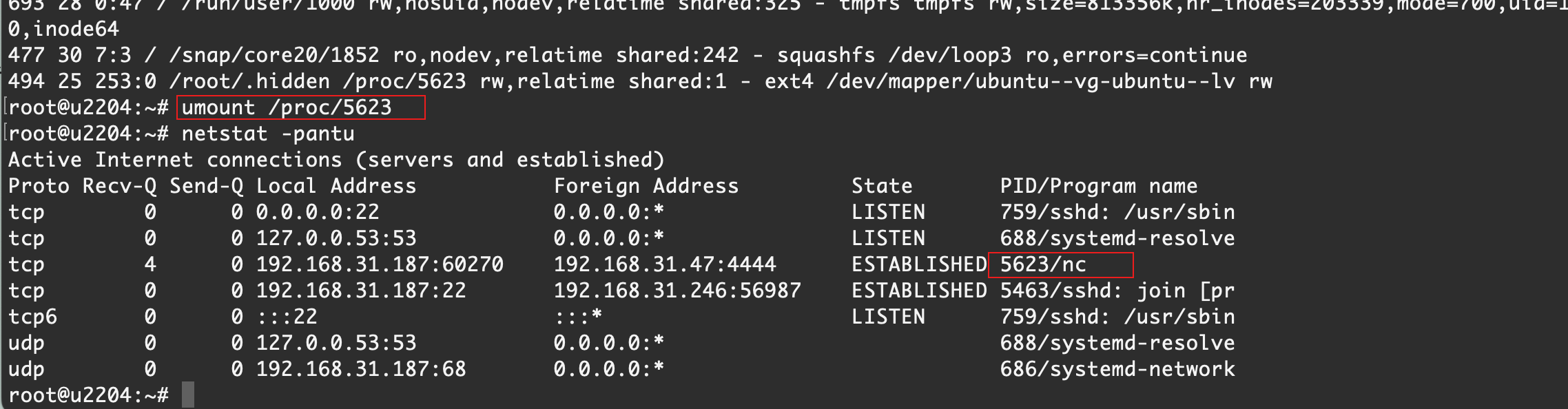 image-20230427005405286