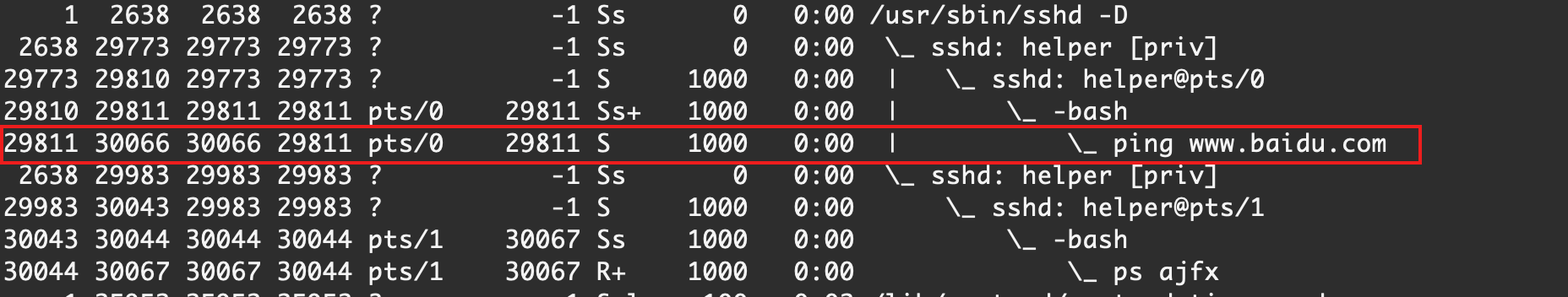 image-20210227002611125