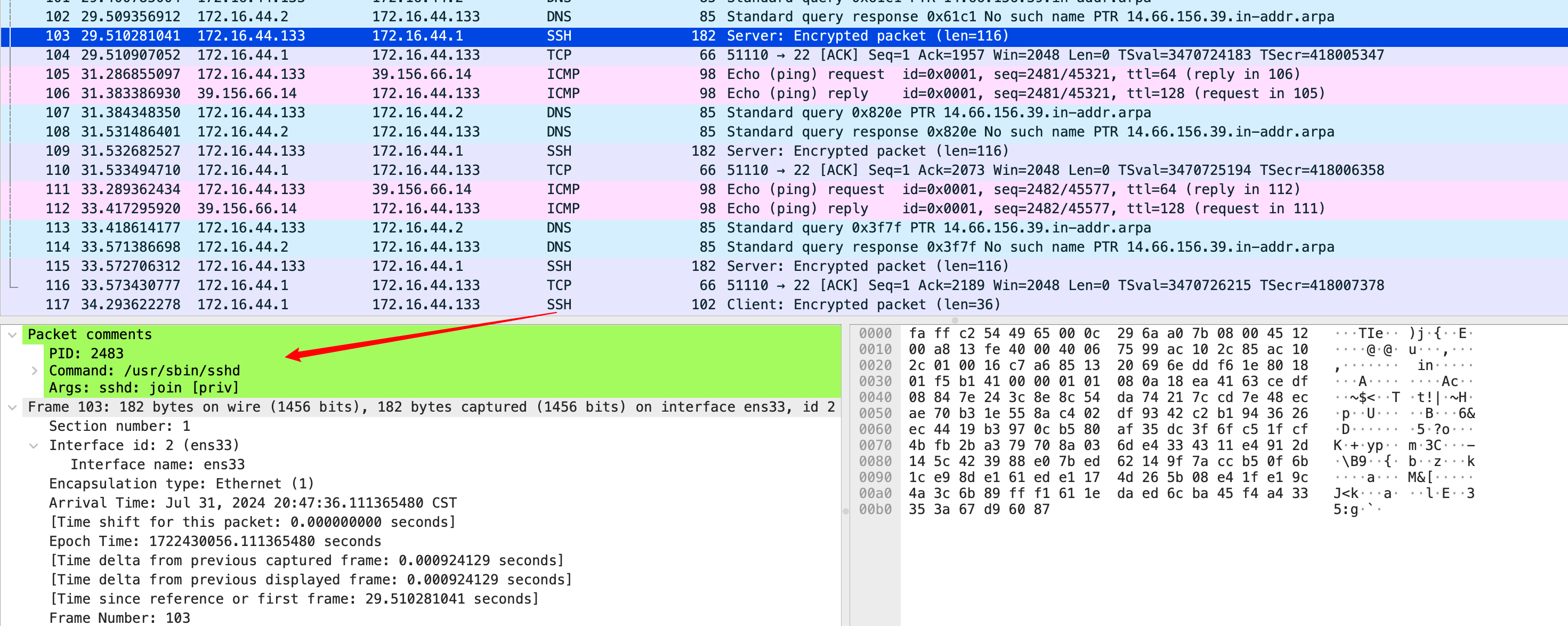 image-20240731205223426