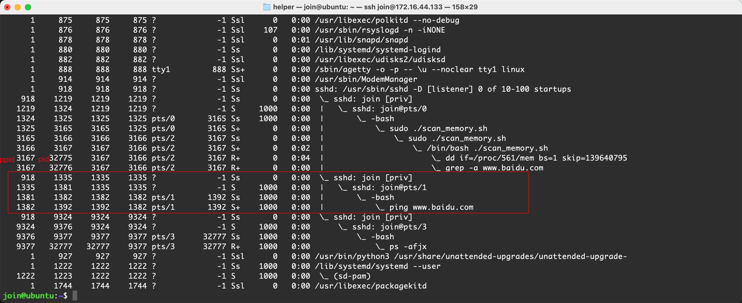 image-20240731000536275