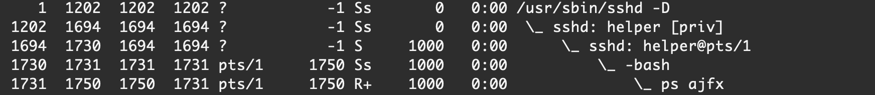 image-20210227005616720