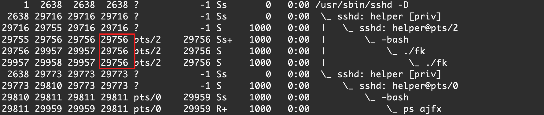 image-20210226233653437