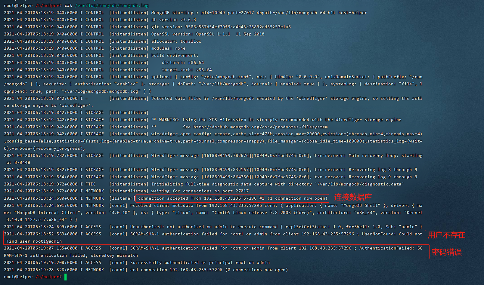 image-20210420142338378