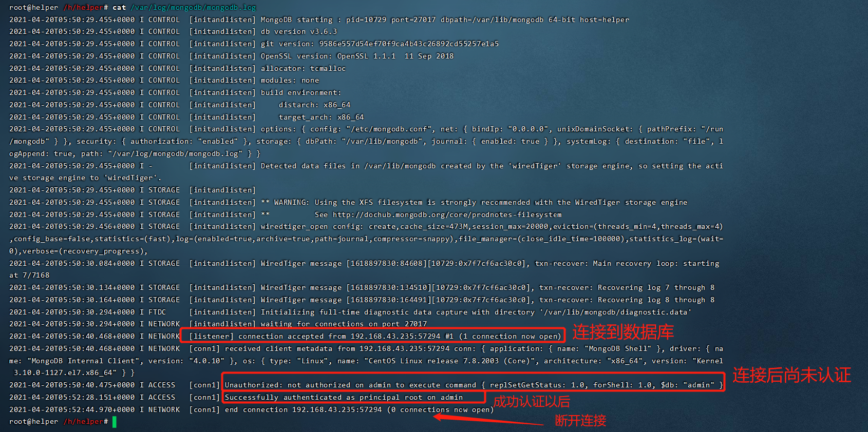 image-20210420135500449