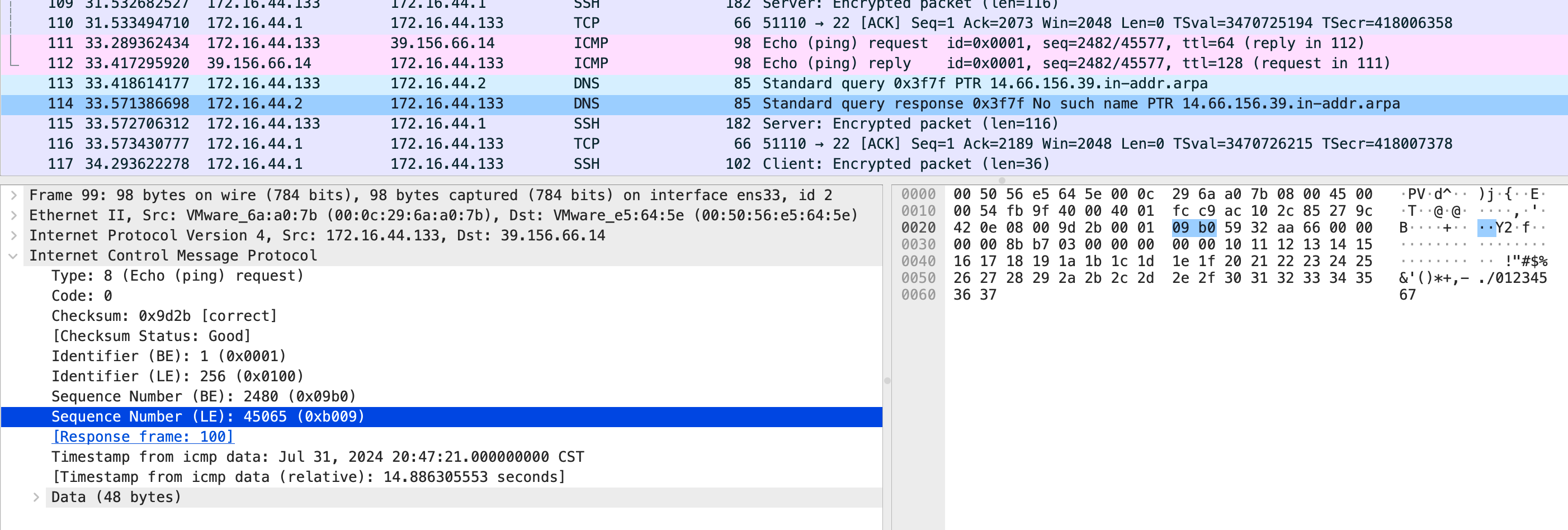 image-20240731205513163
