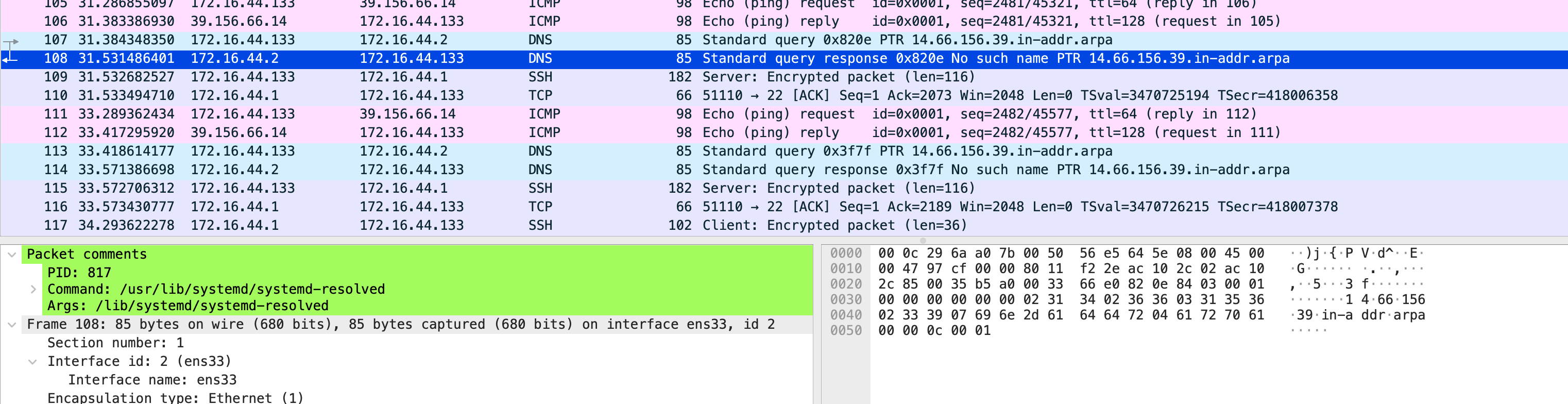 image-20240731205427016