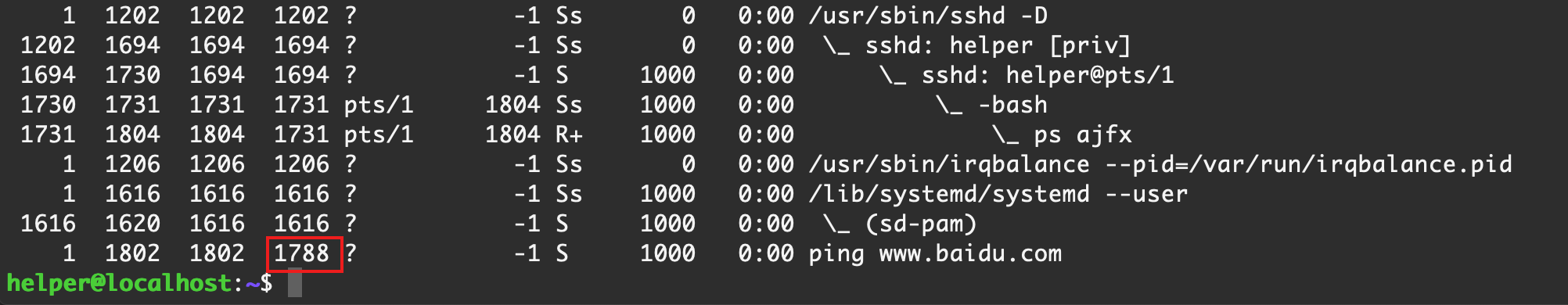 image-20210227010013753