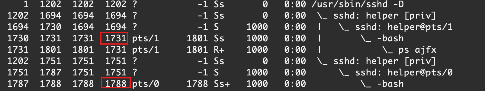 image-20210227005808055