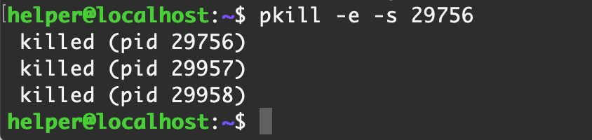 image-20210226233824696