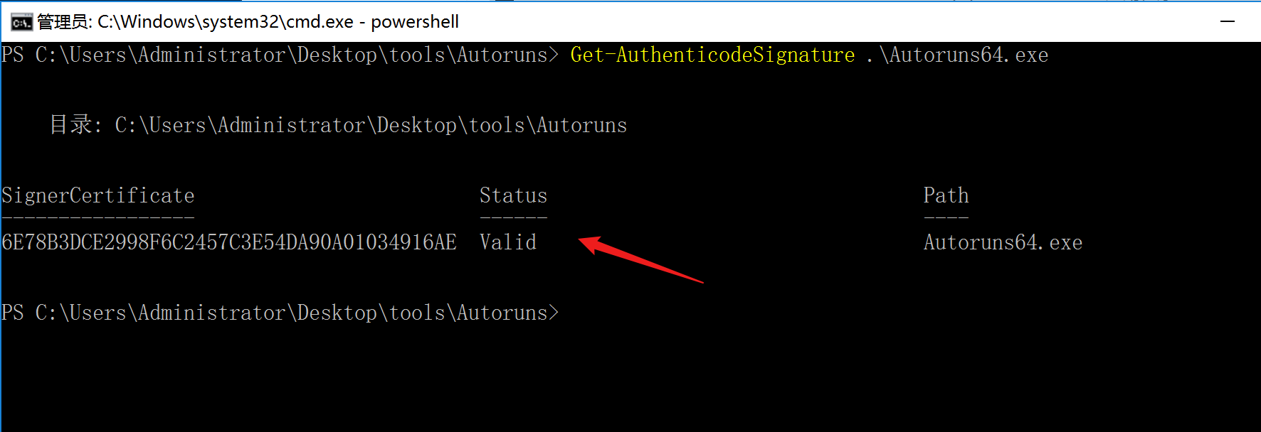 image-20240111231344649