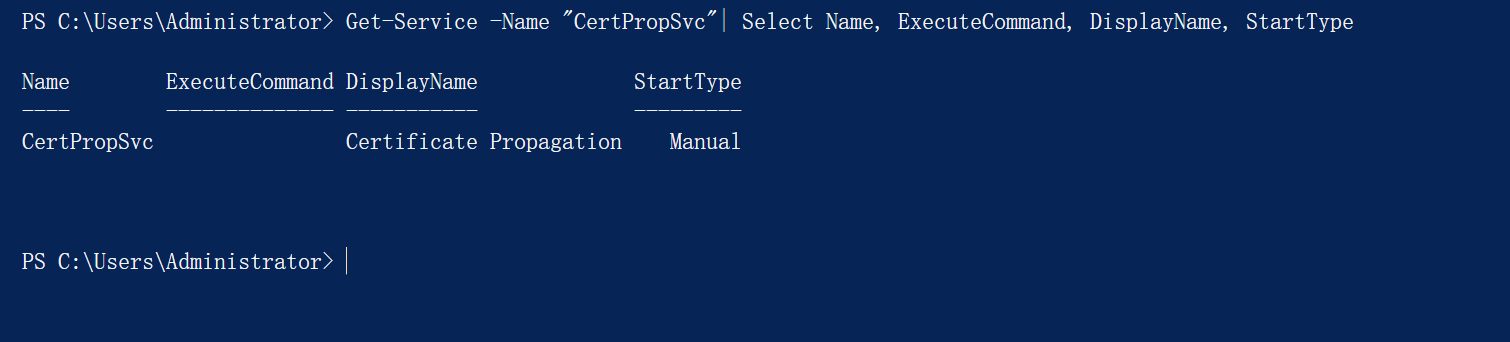 image-20240107173332436