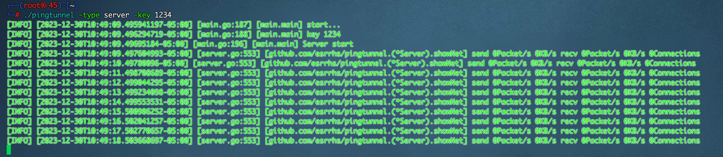 image-20231230234928348