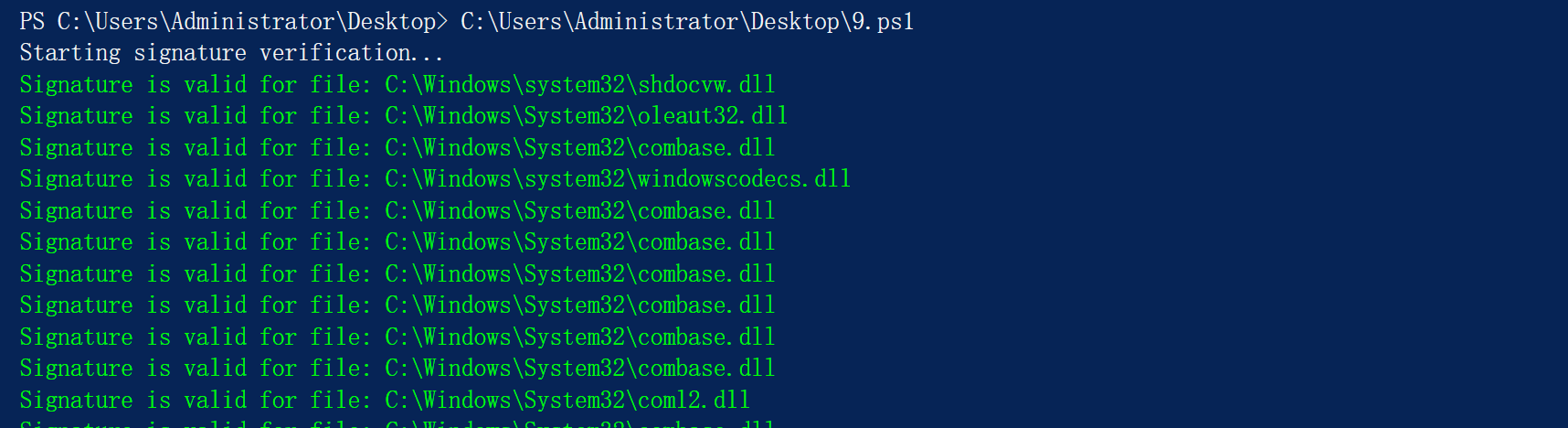 image-20240113194436580